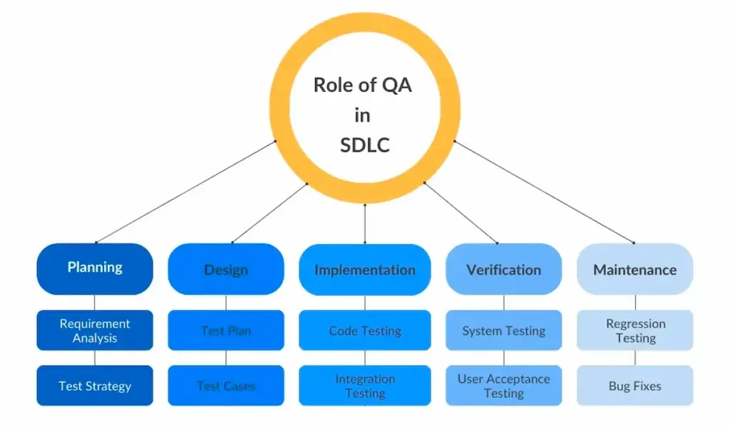 What is QA roles and responsibilities in each phase of SDLC?