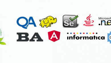 Courses we offer
