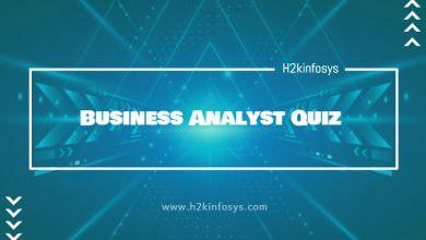 Business Analyst Quiz