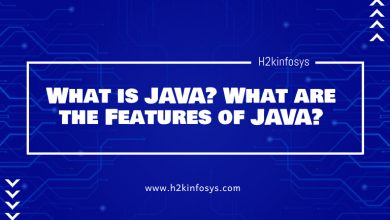 What is JAVA What are the Features of JAVA