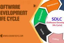 software development life cycle