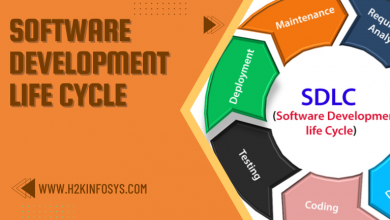 software development life cycle