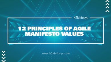 12 PRINCIPLES OF AGILE MANIFESTO VALUES