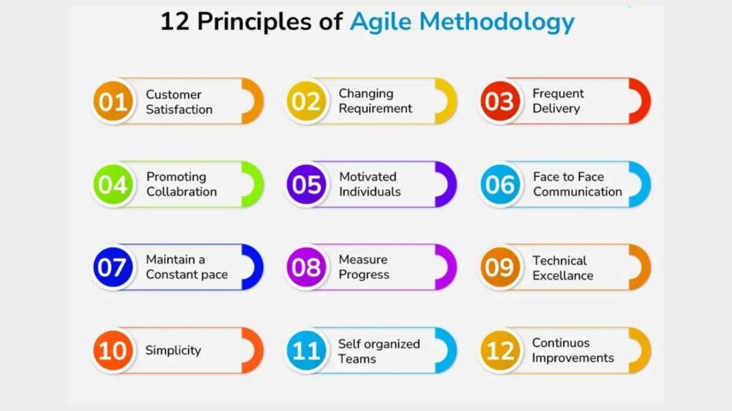 12 PRINCIPLES OF AGILE MANIFESTO VALUES agile scrum certification