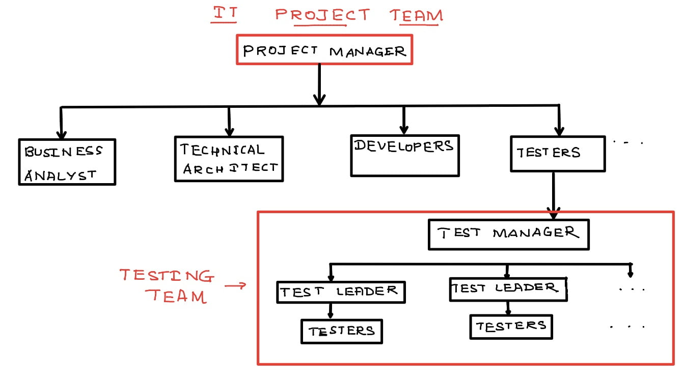 software testing team