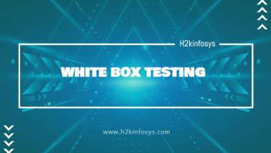 WHITE BOX TESTING