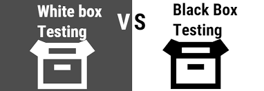 White Box vs Black Box Testing