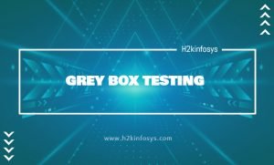 GREY BOX TESTING