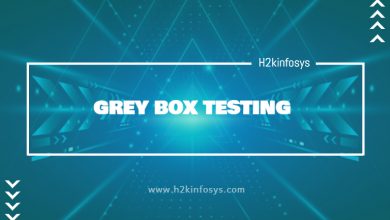 GREY BOX TESTING