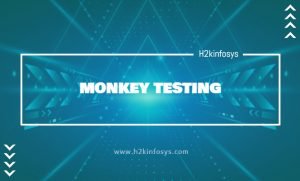 MONKEY TESTING