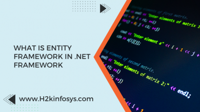 What is Entity Framework in .NET Framework