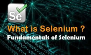 Fundamentals of selenium