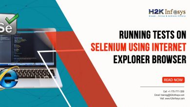 Running Tests on Selenium using Internet Explorer browser