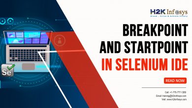 Breakpoint-and-Startpoint-in-Selenium-IDE