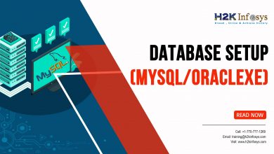 Database setup MySQL or OracleXE