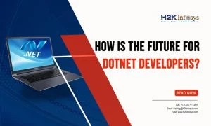 Future for Dotnet Developers?