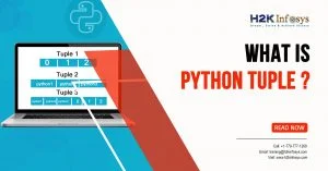 What is Python TUPLE