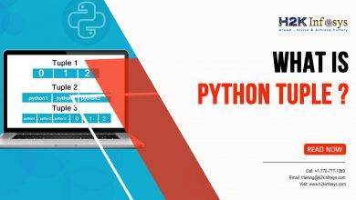 What is Python TUPLE