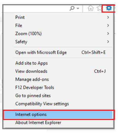 Running Tests on Selenium using Internet Explorer browser