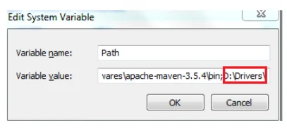 Running Test on Selenium Firefox Driver