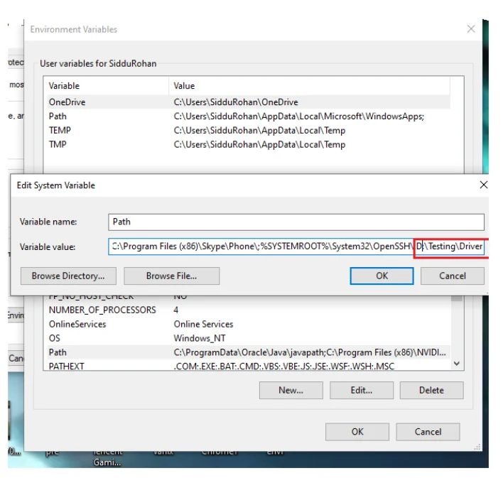 Running Selenium Test on Chrome Browser