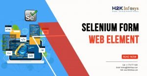 Seleniumm Form WebElement