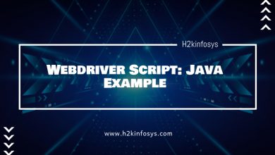 Webdriver Script Java Example