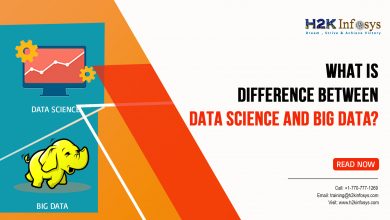 Difference Between Data Science and Big Data?