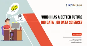Which Has a Better Future, Big Data, or Data Science