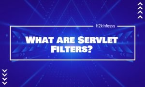 What are Servlet Filters