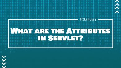 What are the Attributes in Servlet?