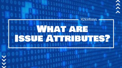 What are Issue Attributes