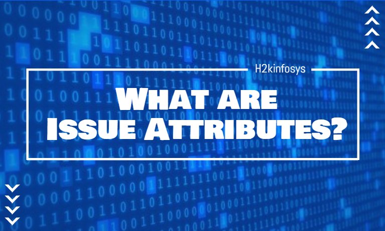 What are Issue Attributes