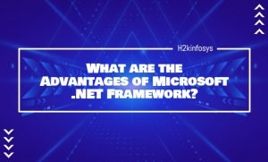What are the Advantages of Microsoft .NET Framework