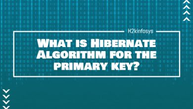 What is Hibernate Algorithm for the primary key