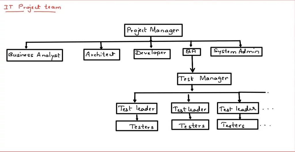 Roles of Test leader and Test manager in software testing process of IT projects test leader