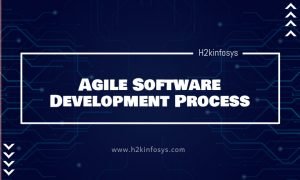 Agile Software Development Process