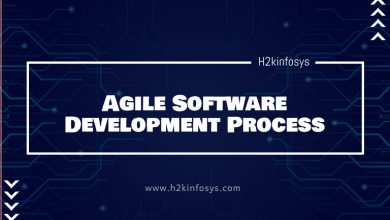 Agile Software Development Process