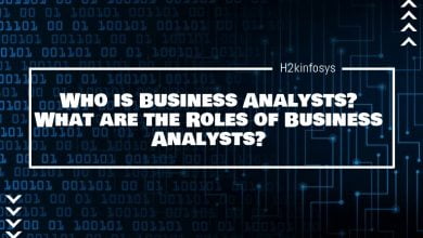 Business Analysts Roles