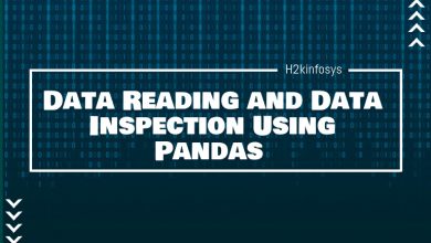 Data Reading and Data Inspection Using Pandas