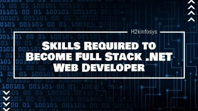 Full Stack .NET Web Developer