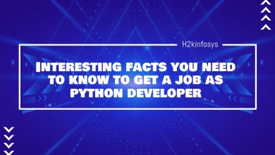 Interesting Facts You Need to Know to Get a Job as Python Developer