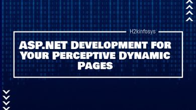 ASP .NET Development for Your Perceptive Dynamic Pages