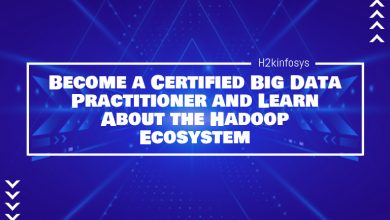 Become a Certified Big Data Practitioner and Learn About the Hadoop Ecosystem