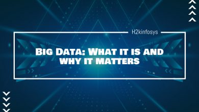 Big Data: What it is and why it matters