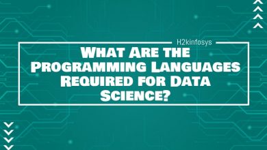 Data Science Programming Language