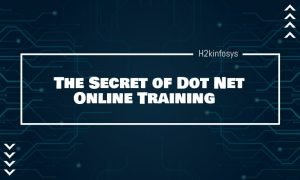 The-Secret-of-Dot-Net-Online-Training