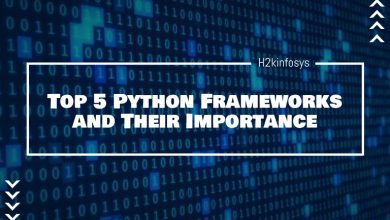 Top 5 Python Frameworks and Their Importance