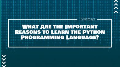 What Are the Important Reasons to Learn the Python Programming Language