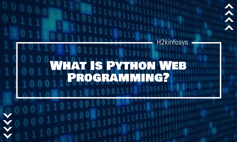 What Is Python Web Programming?